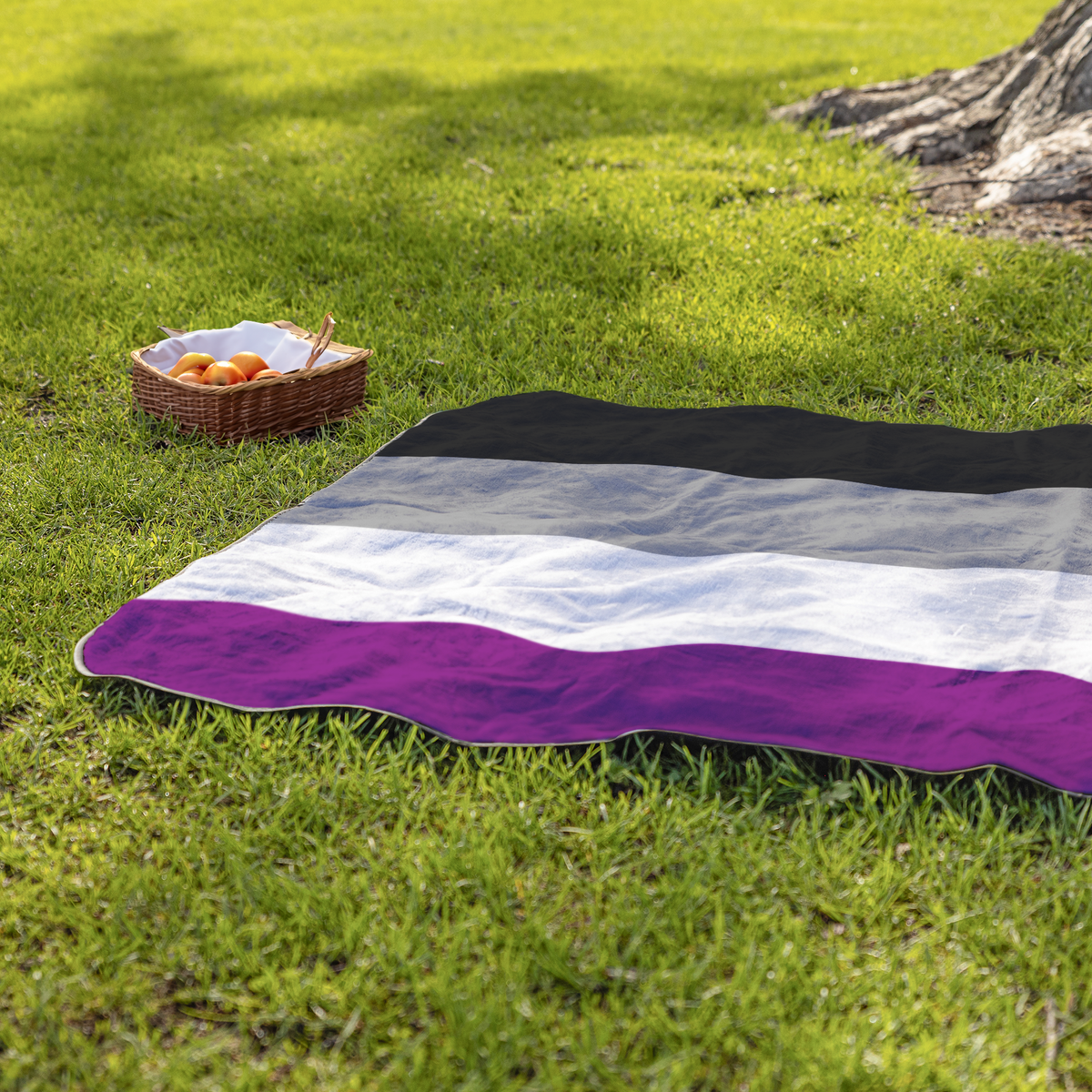Ace_Pride_Stadium_Blanket_StadiumBlanket_Lifestyle_Grass_H_Mockup.png