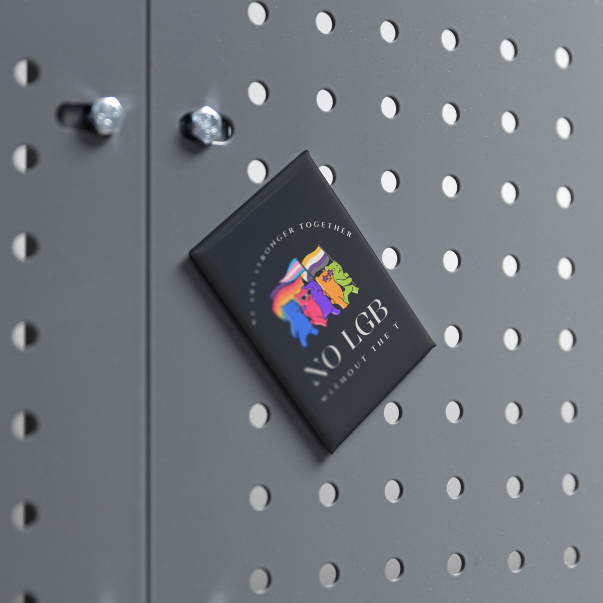No_LGB_without_the_T_Rectangle_Magnet_RectangleButtonMagnet_H_Workspace_AS_Mockup.png