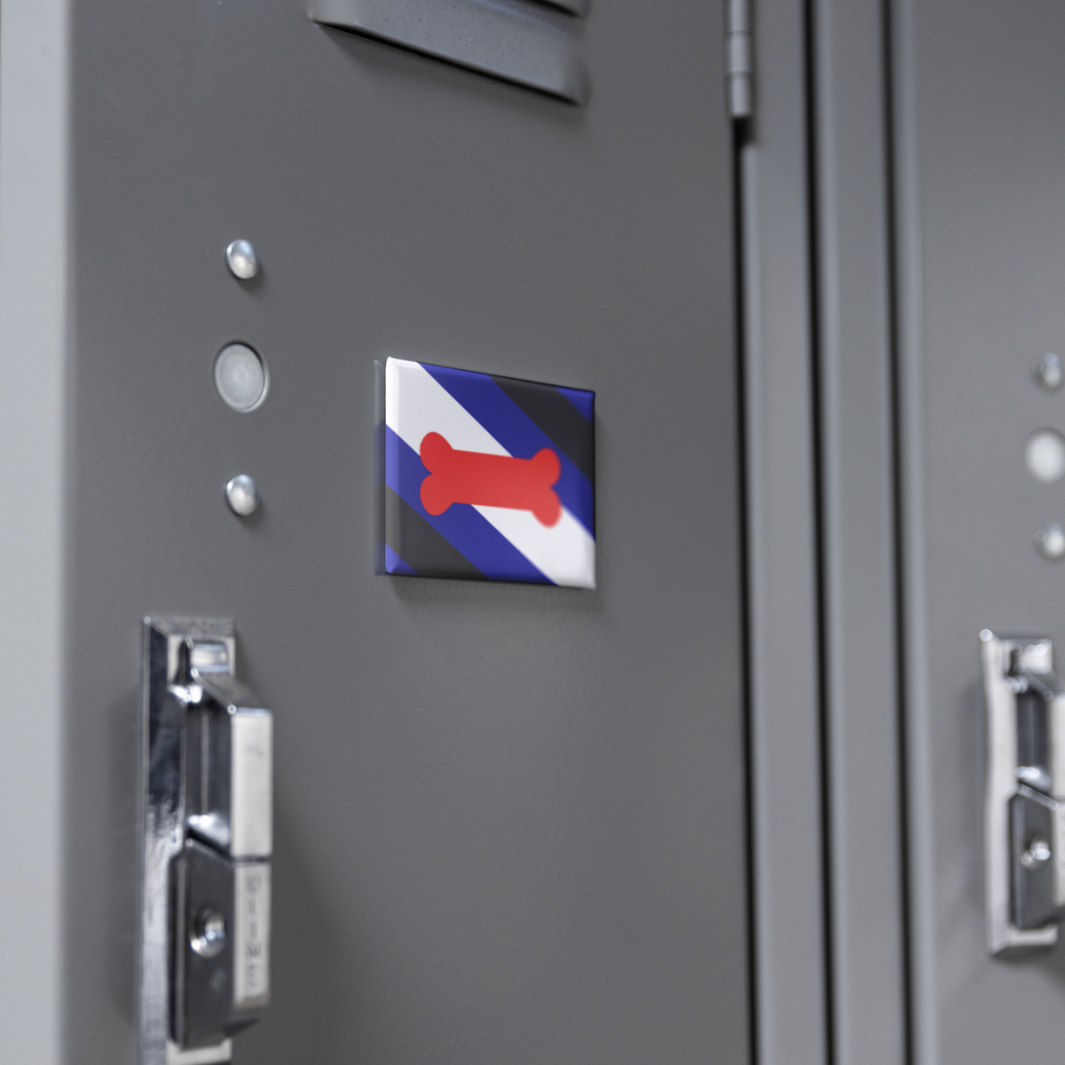 Pup_Flag_Magnet_RectangleButtonMagnet_H_Locker_Mockup.png