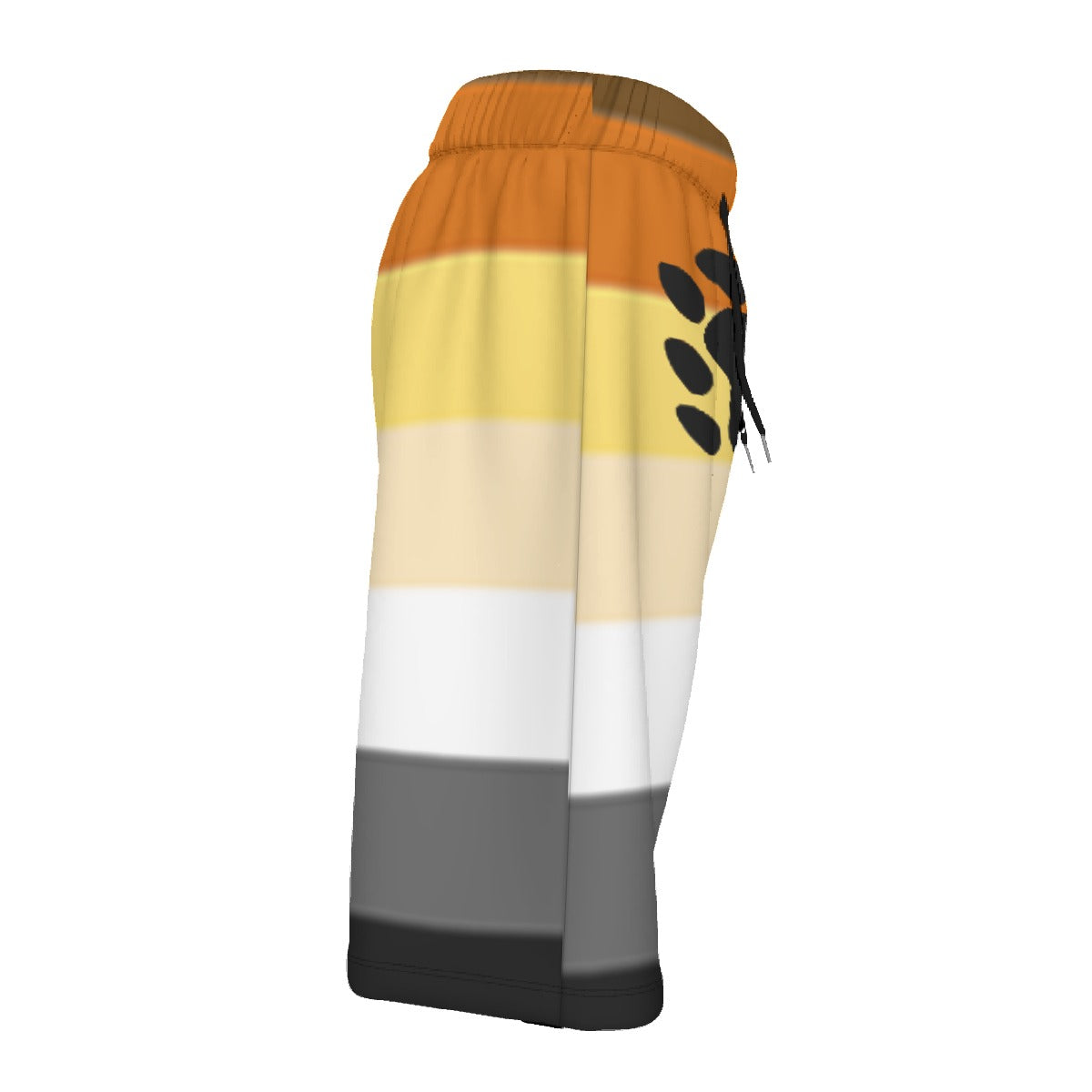 Mesh Lined Swim Trunks - Bear Pride Print